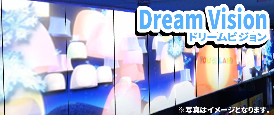 ドリームビジョン写真