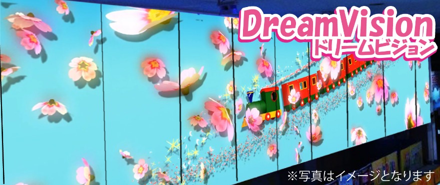 ドリームビジョン写真