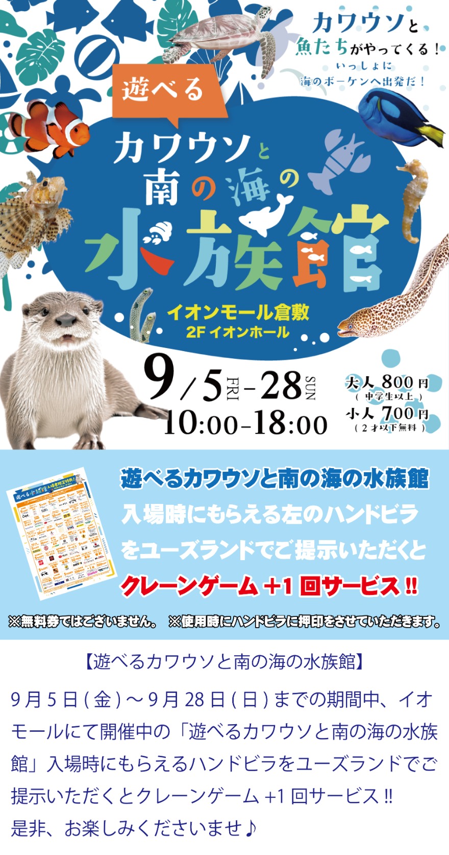 キャンペーン情報